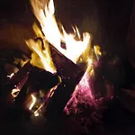 House Share With Family And Friends